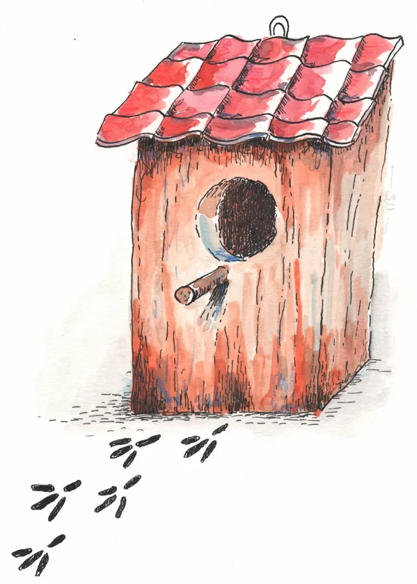 Vector Birdhouse - theme about when children move out | by Sascha Nabrotzky